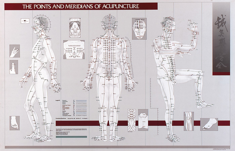 Meridians Theory