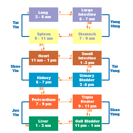 Meridians Theory